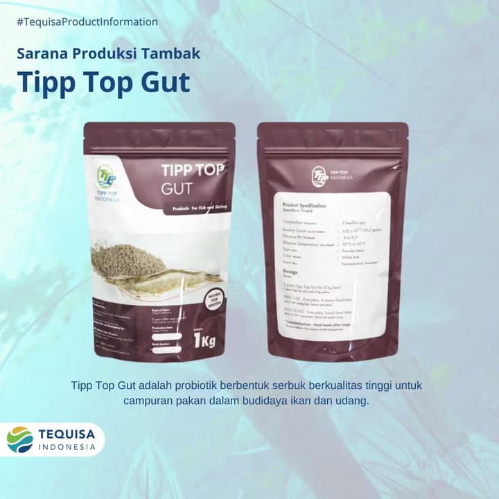 Tipp Top Gut